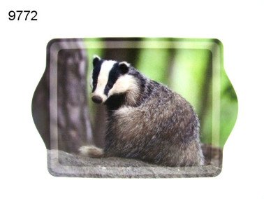 Das dienblad, 21 x 14,5 cm