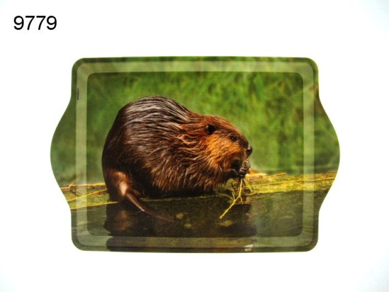 Bever dienblad, 21 x 14,5 cm