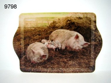 Varken dienblad, klein