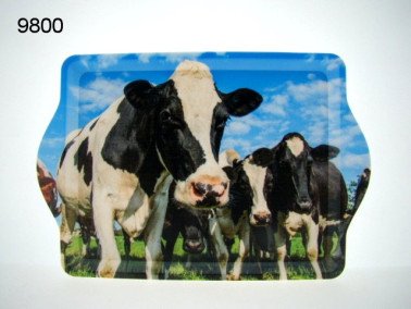 Koe dienblad, klein