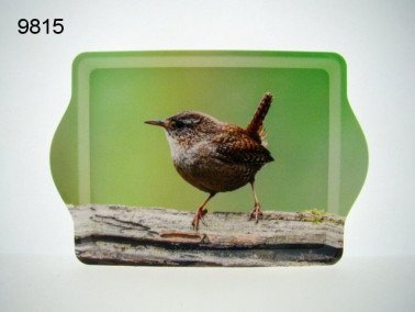 Winterkoning dienblad, klein