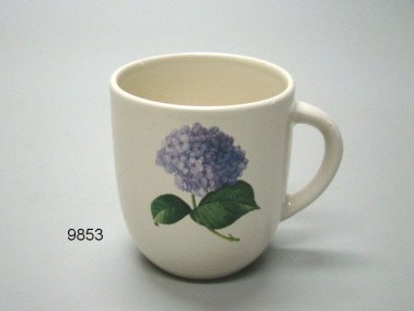 Hortensia mok, klein