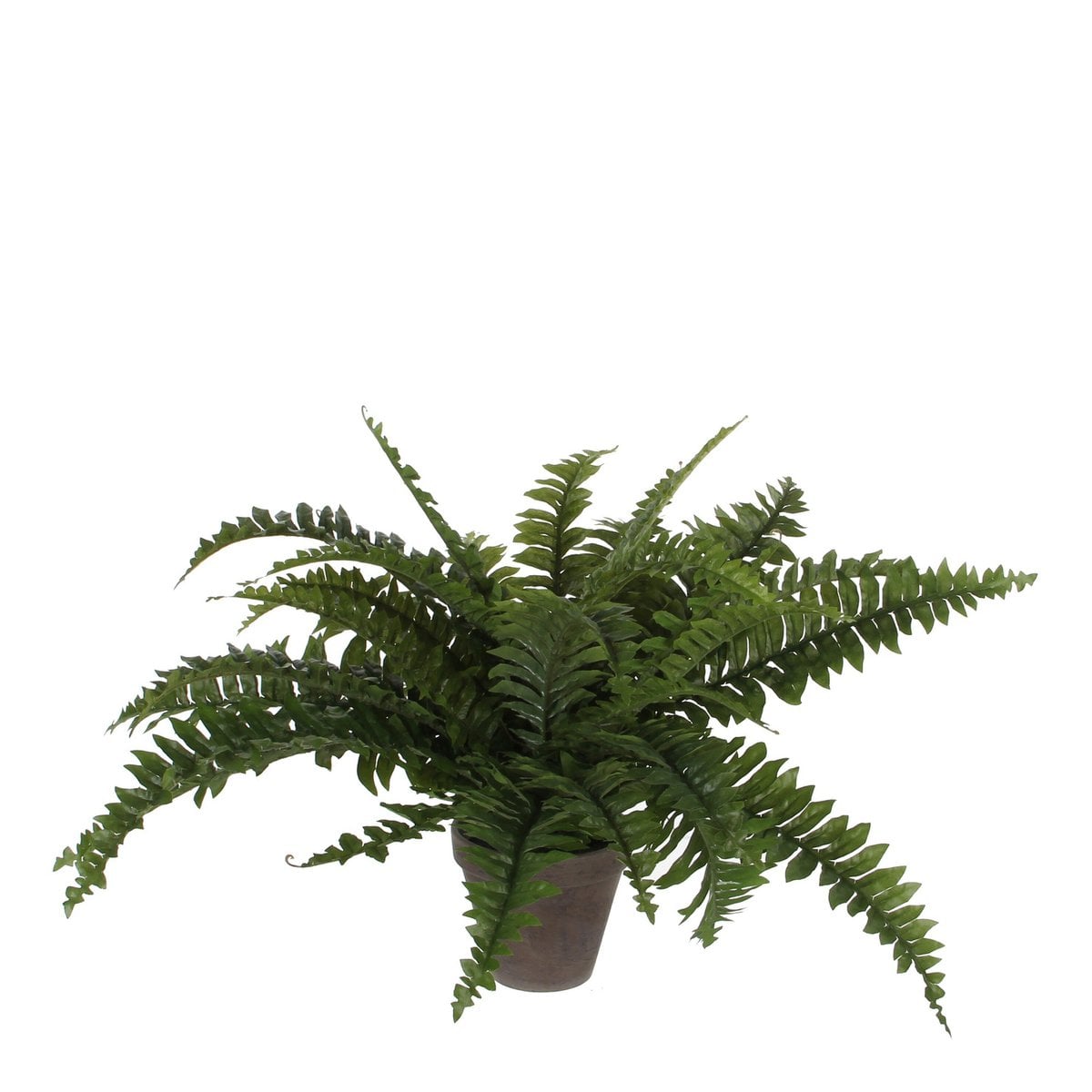 Boston fern kunstplant, 42 cm