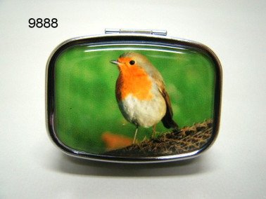 Roodborst pillendoosje
