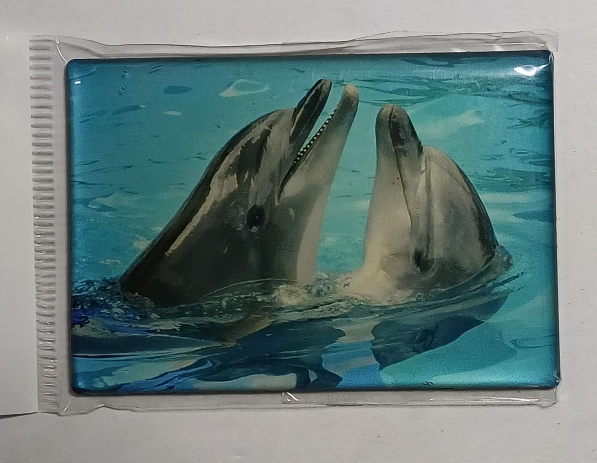 Dolfijn koelkastmagneet, 8 x 5,5 cm