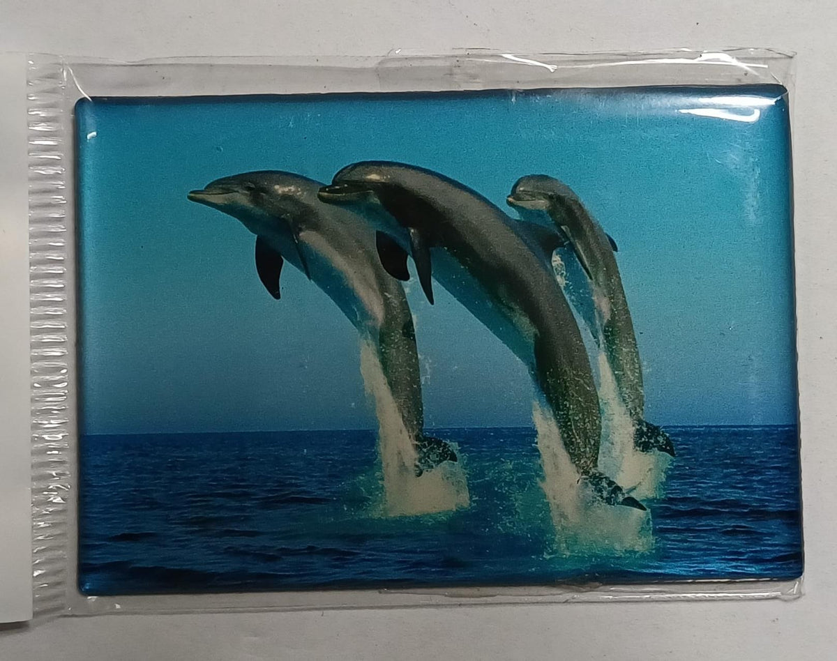 Dolfijn koelkastmagneet, 8 x 5,5 cm