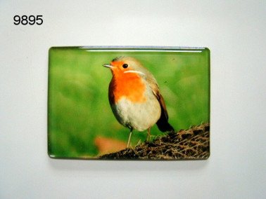 Roodborst magneet