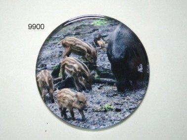 Wild zwijn magneet, rond
