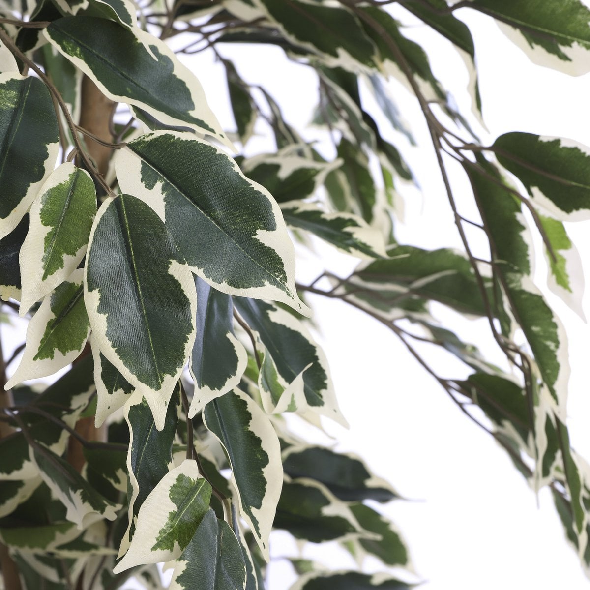 Ficus kunstplant, 150 cm