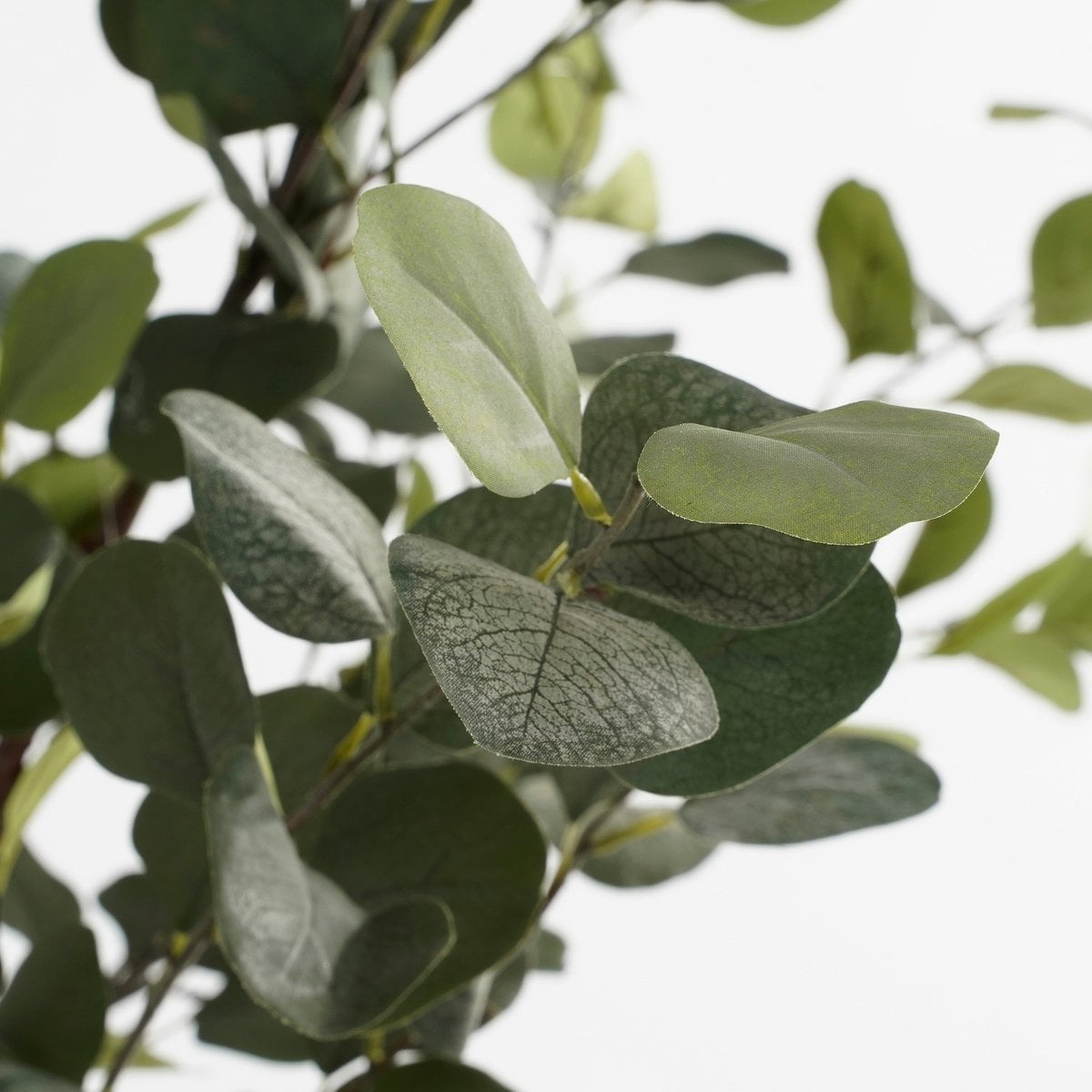 Eucalyptus kunstplant, 95 cm