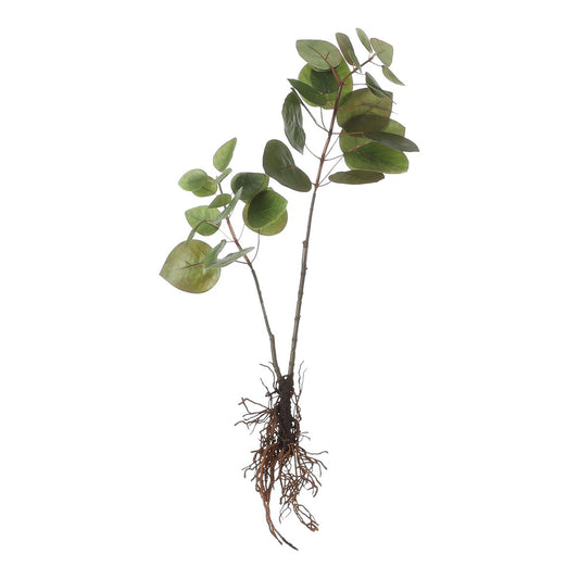 Eucalyptus kunstplant met wortels, 64 cm
