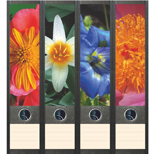 Ordnerstickers breed, 4 stuks bloemen, met tekstlabels