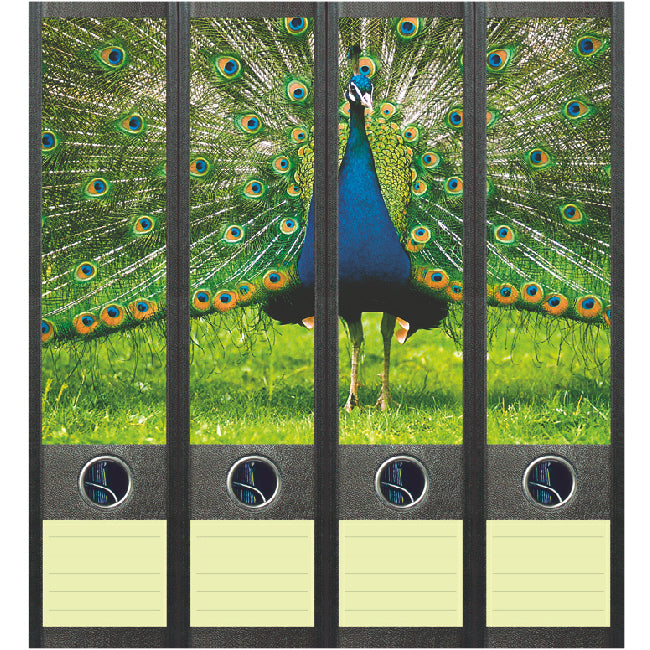 Ordnerstickers breed, 4 stuks blauwe pauw, met tekstlabels