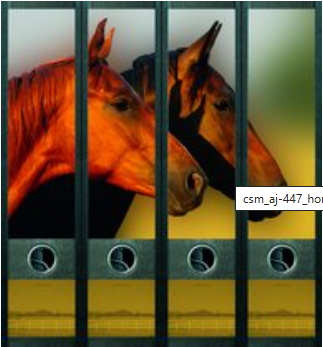 Ordneretiketten breed, paarden, set van 4
