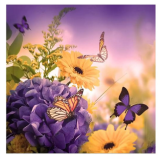 Vlinders in bloemenveld diamond painting, 30 × 30 cm