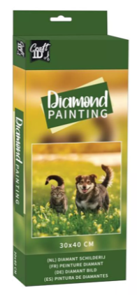 Kat en hond diamond painting, 30 × 40 cm
