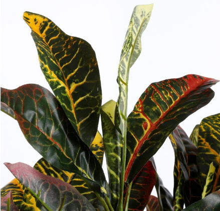 Croton kunstplant, groen, rood en geel, Ø 40 × 73 cm