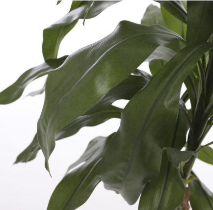 Dracaena kunstplant, Ø 70 × 100 cm