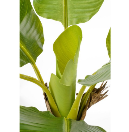 Bananenboom kunstplant, Ø 70 × 120 cm