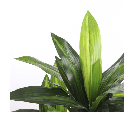Dracaena kunstplant, groen, Ø 60 × 110 cm