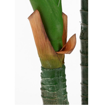 Dieffenbachia kunstplant, groen, Ø 70 × 150 cm