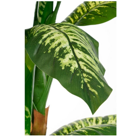 Dieffenbachia kunstplant, groen, Ø 70 × 150 cm