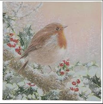 Roodborst canvas schilderij met led en timer, 30 x 30 cm