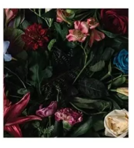 Diamond painting pakket bloemen, 20 x 20 cm