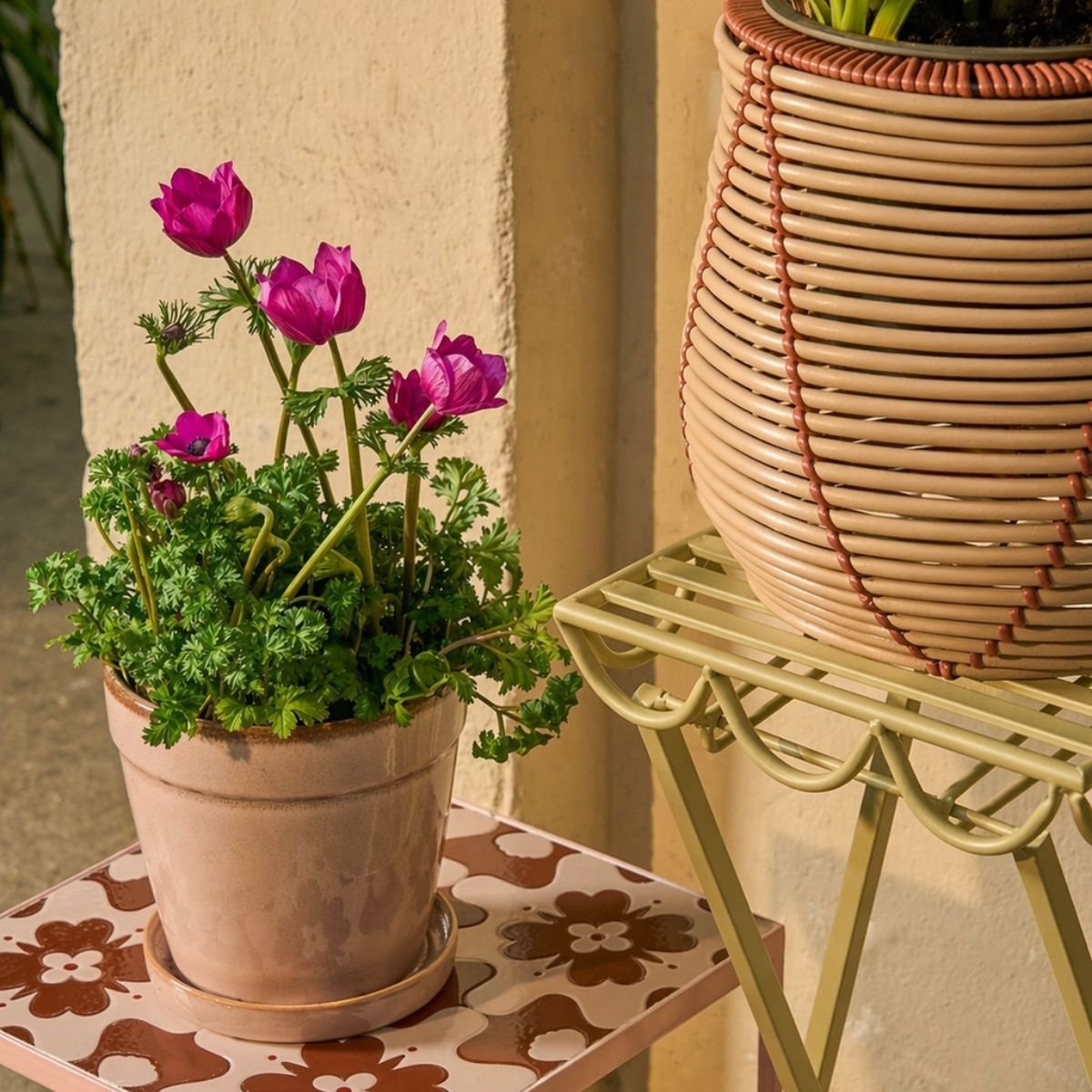 Rosalie planttafel, lichtgroen, 68 × Ø 28 cm