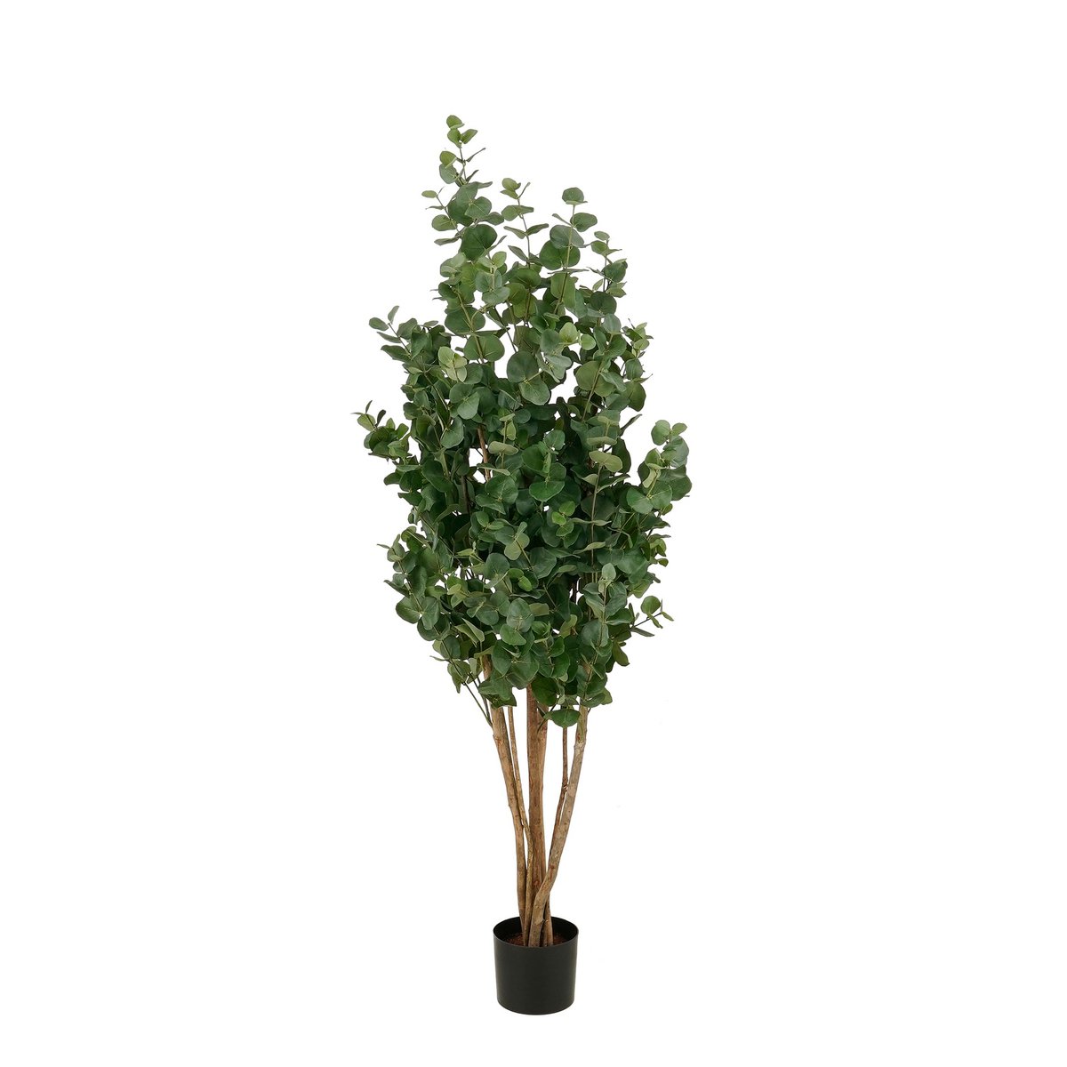 Eucalyptus kunstplant, 175 cm