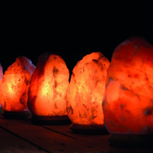 Salt Dreams rots zoutlamp met houten voet 25–30 kg