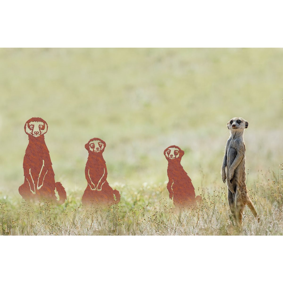 Stokstaartjes familie roest ornament set van 3 – tuin decoratie