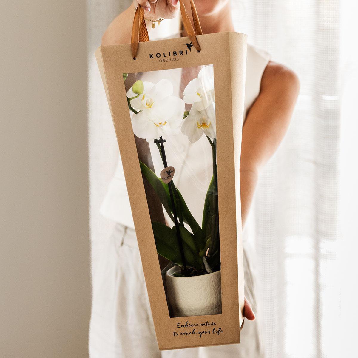 Cadeautasje voor orchidee met sierpot, wit, 45 cm