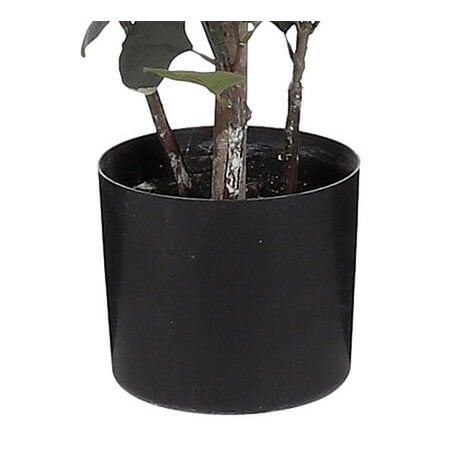 Eucalyptus kunstplant, 150 cm