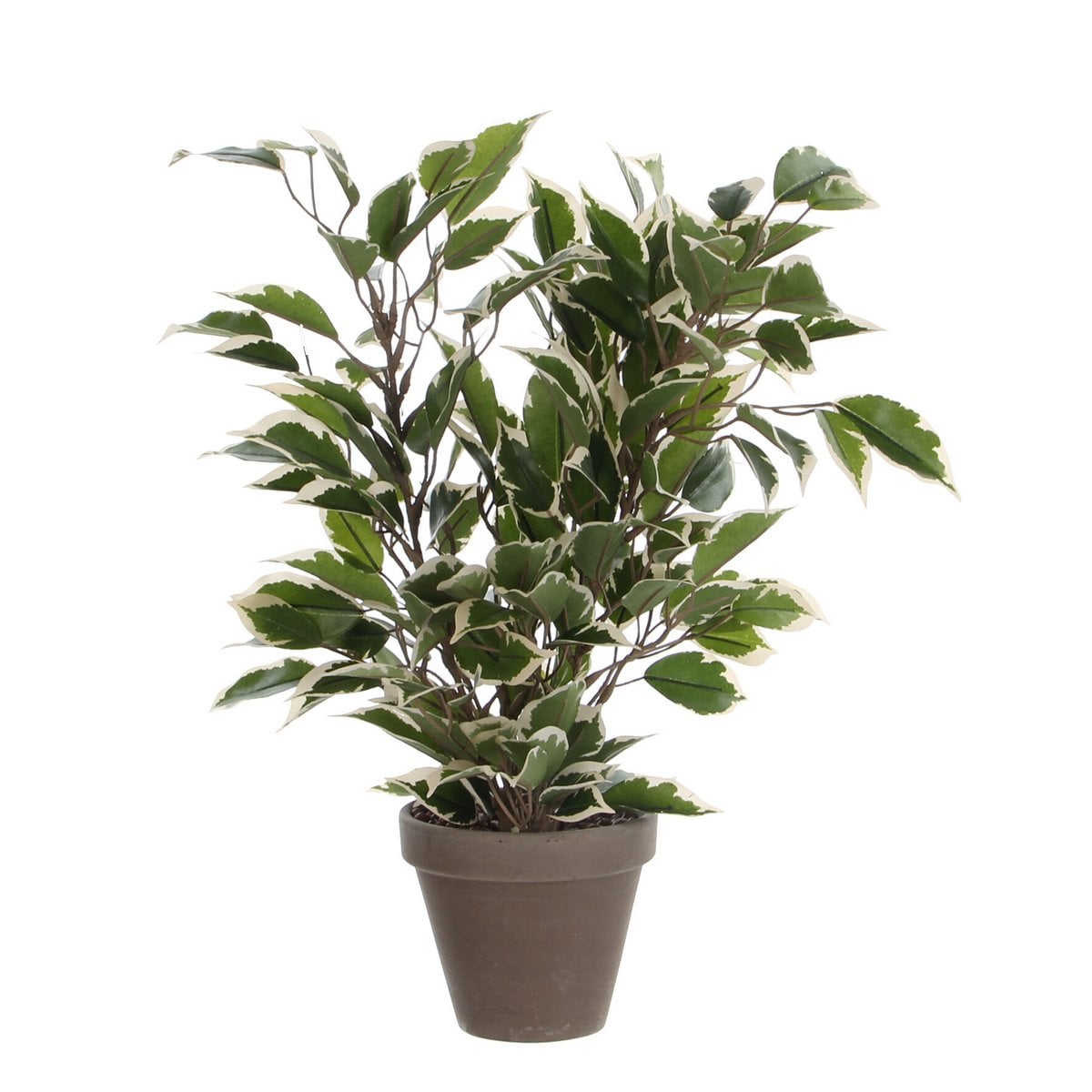 Ficus Natasja kunstplant, 40 cm
