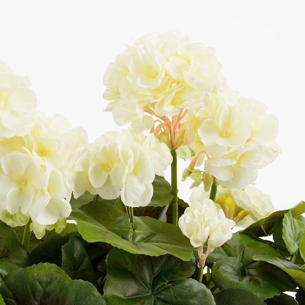 Geranium kunstplant in bloembak, 29 × 13 × 40 cm