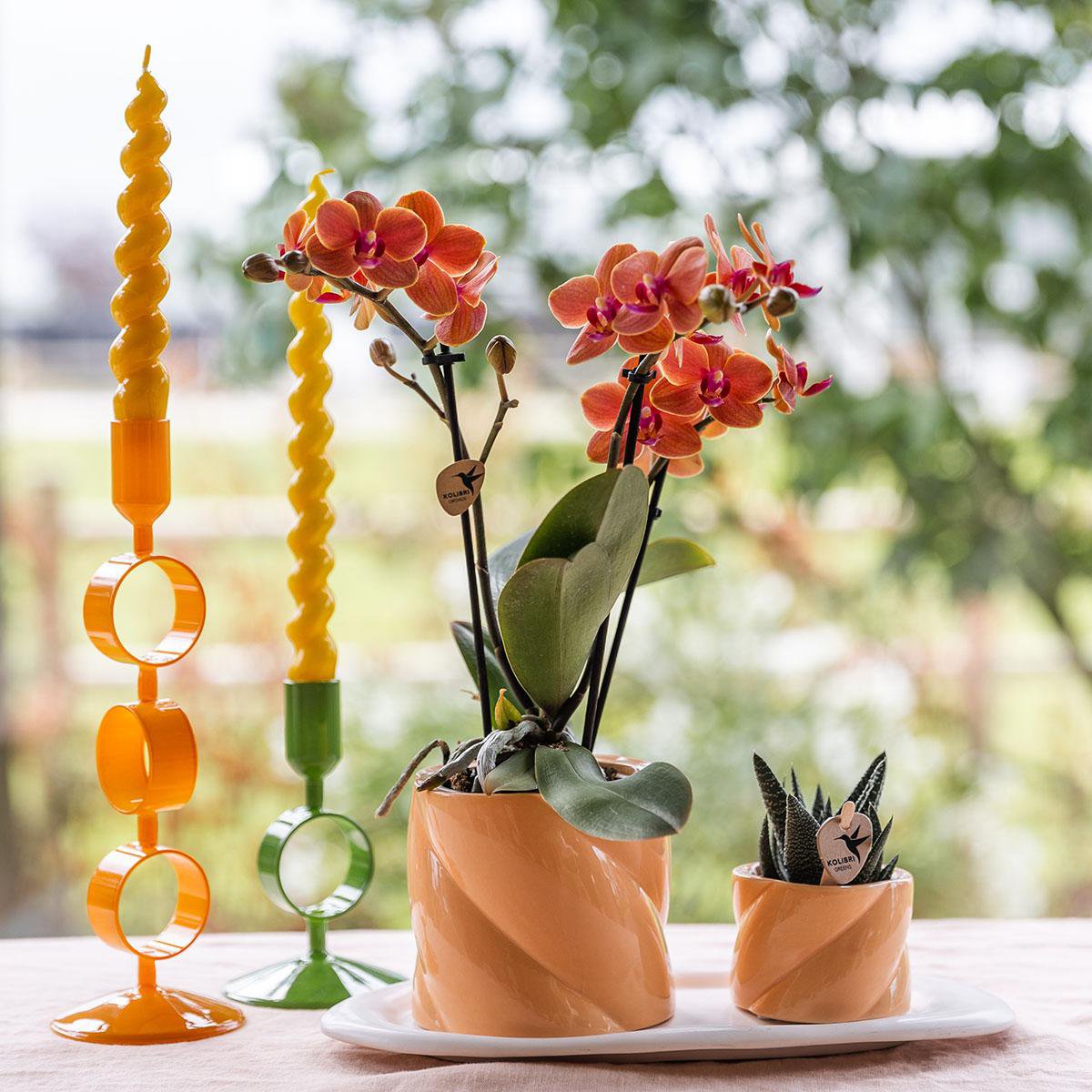 Phalaenopsis orchidee met groene plant en Optimism peach sierpotten, set, 35 cm