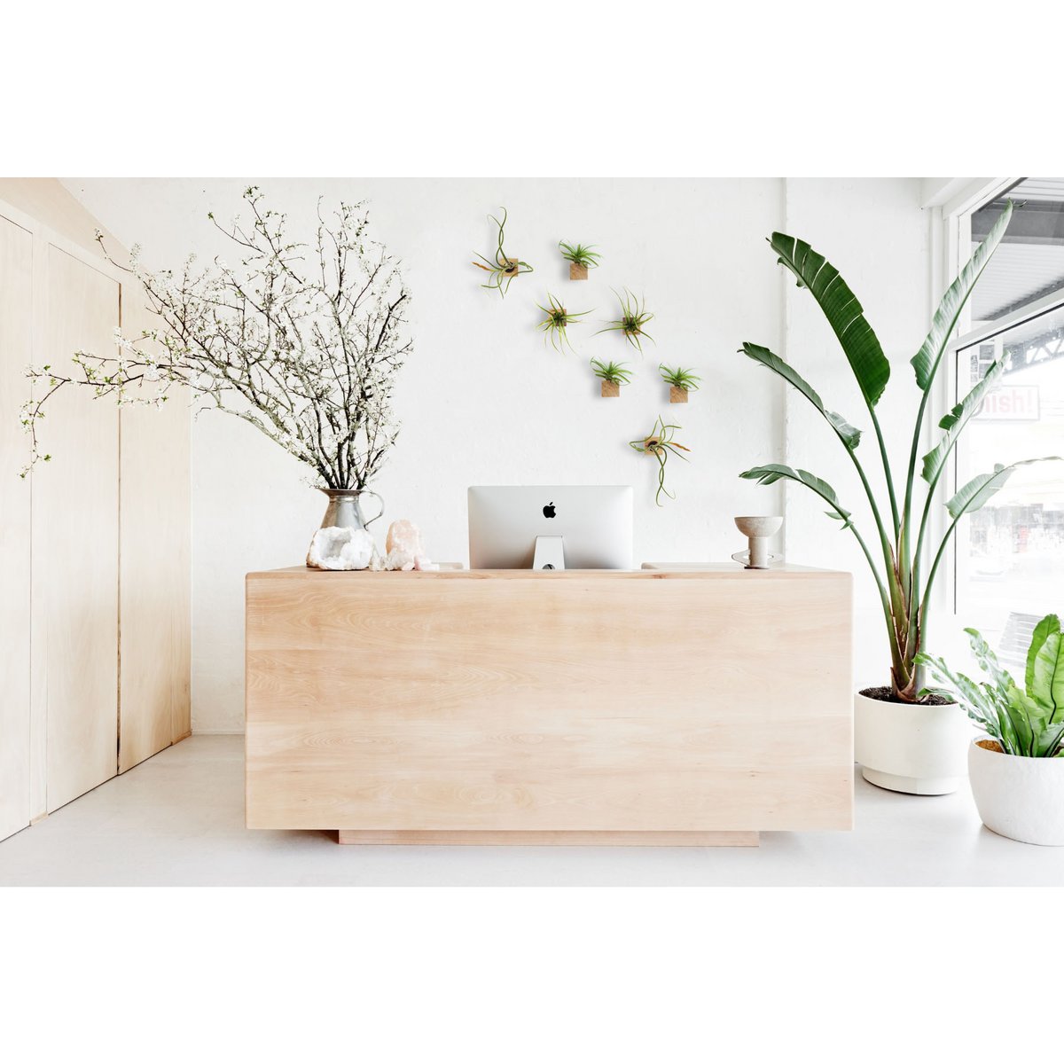 Hangende luchtplantenhouders, inclusief 3 luchtplanten, 6 × 6 × 6 cm