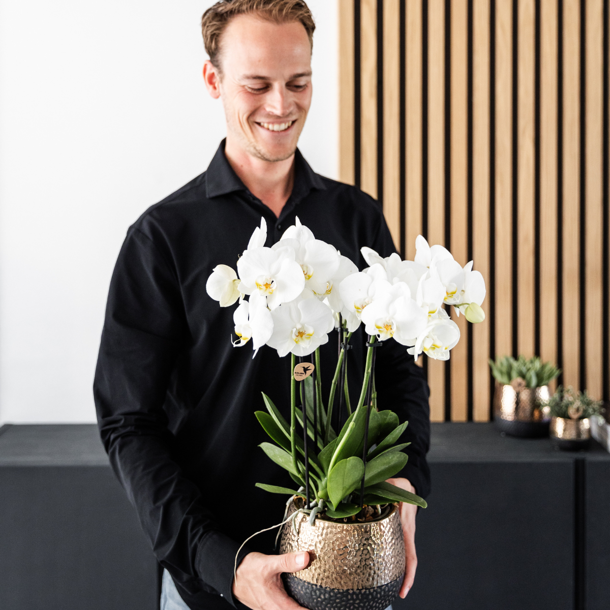 Witte Phalaenopsis orchideeën, combi deal 2 stuks, 45 cm, potmaat Ø 12 cm