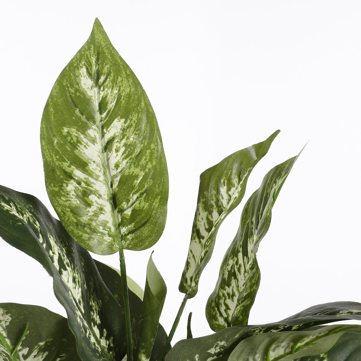 Dieffenbachia kunstplant, 70 cm
