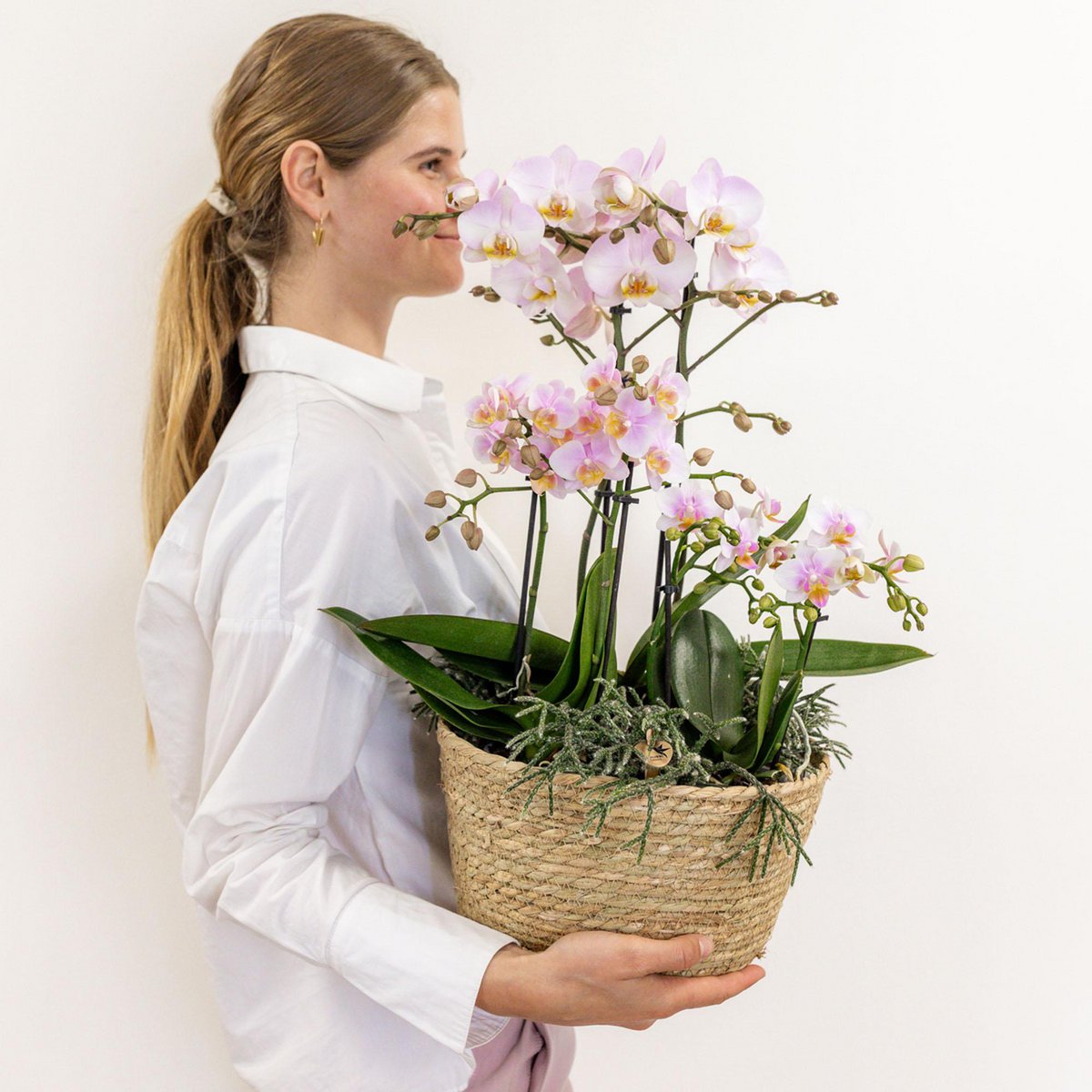Inlay met waterreservoir voor orchideeënschaal Ø 25 cm, Field Bouquet
