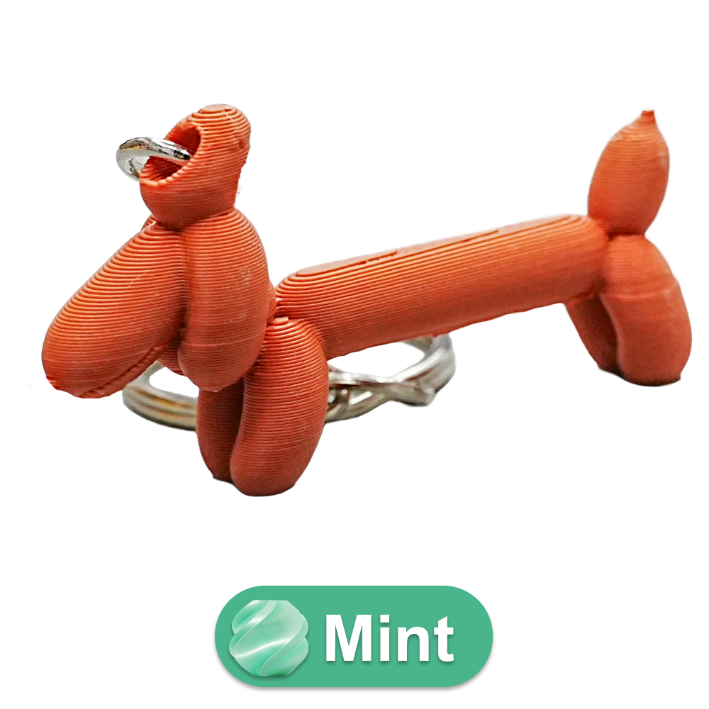 Wiener ballonhond sleutelhanger
