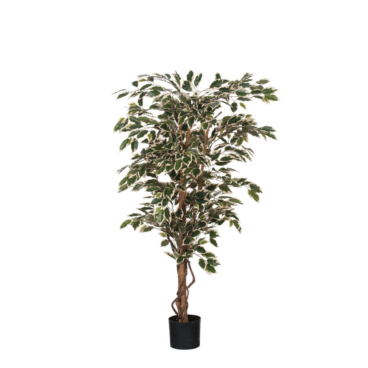 Ficus kunstplant, 150 cm