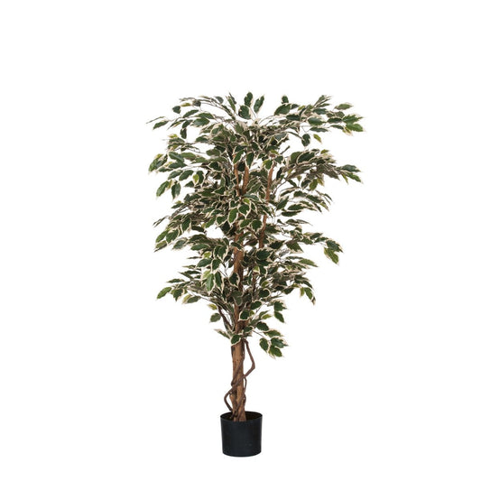 Ficus kunstplant, 150 cm