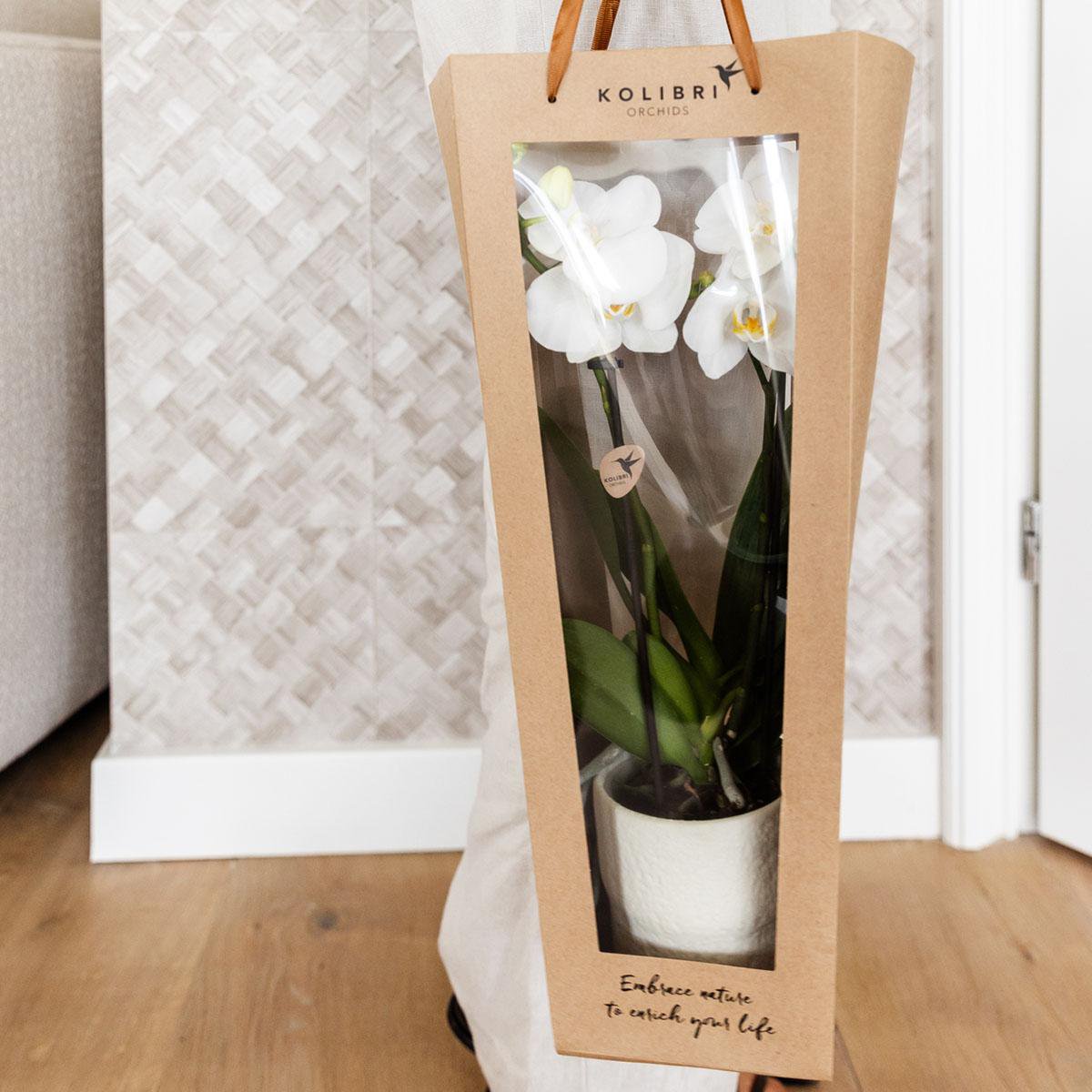 Cadeautasje voor orchidee met sierpot, wit, 45 cm