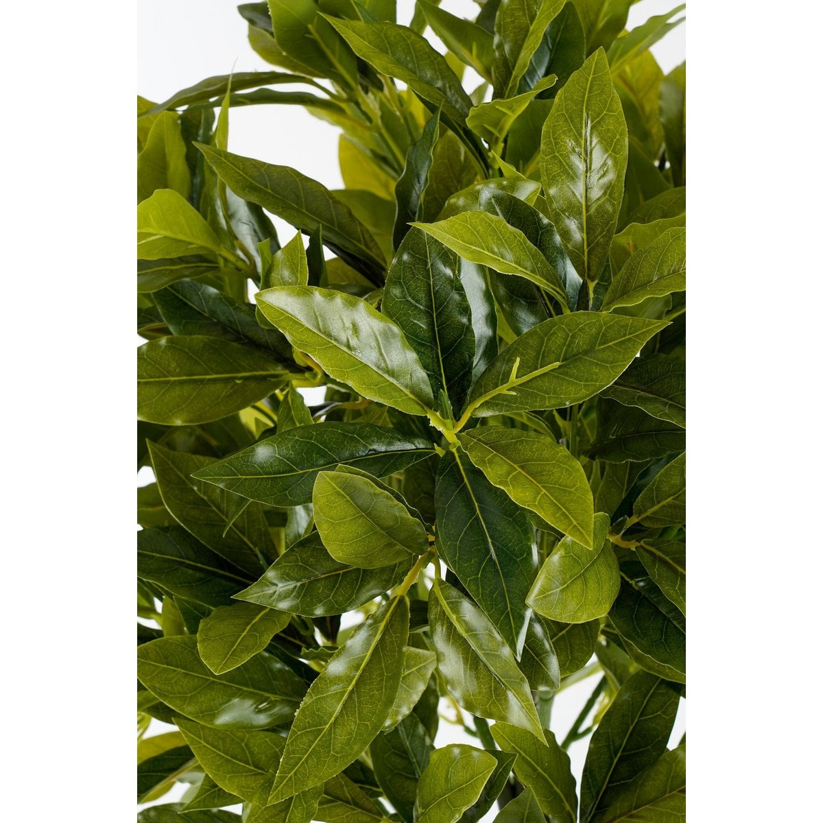 Laurierboom kunstplant, 120 cm