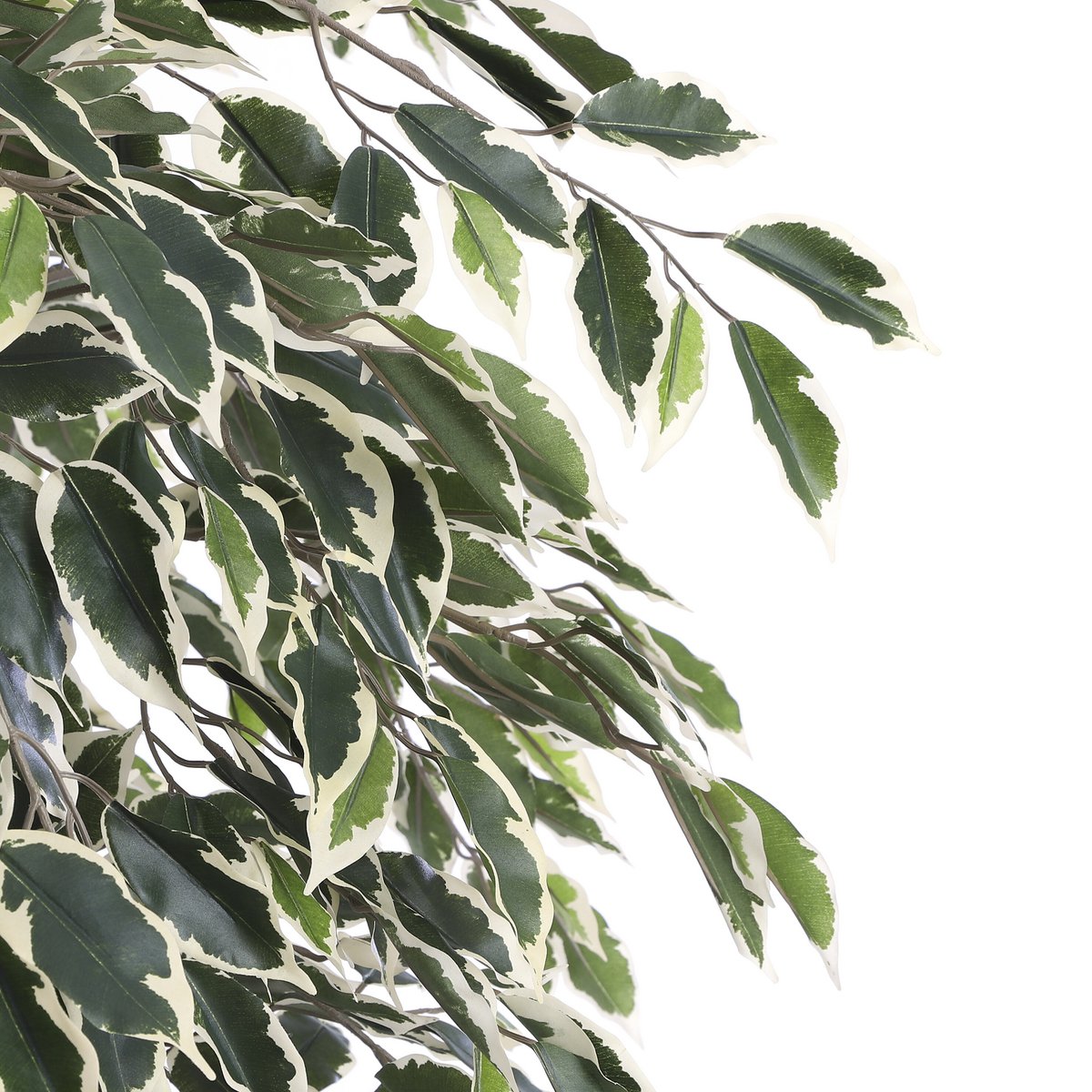 Ficus kunstplant, 180 cm