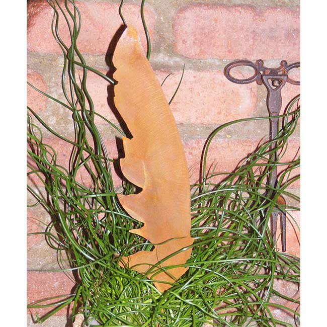 Veer decoratie, roestpatina, 40 × 8 cm
