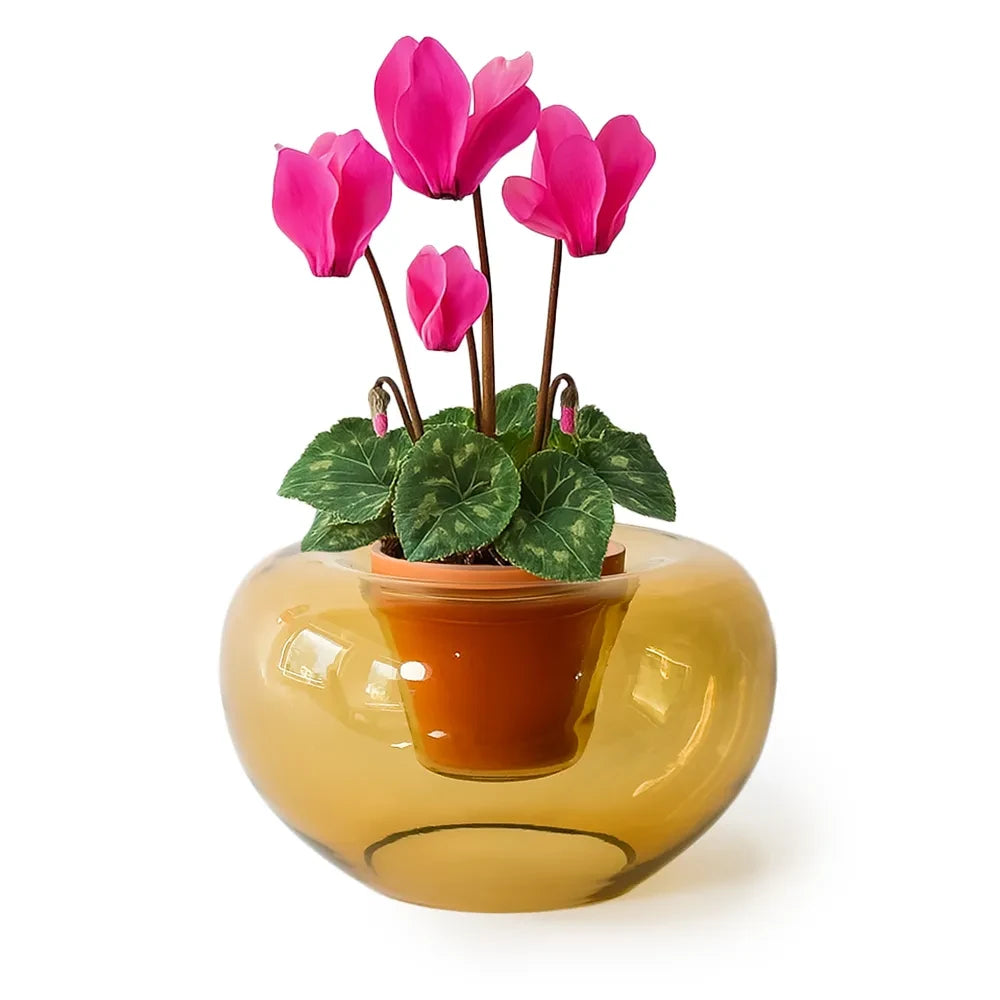 Potvase glazen plantenvaas met terracotta pot, Ø 35 cm