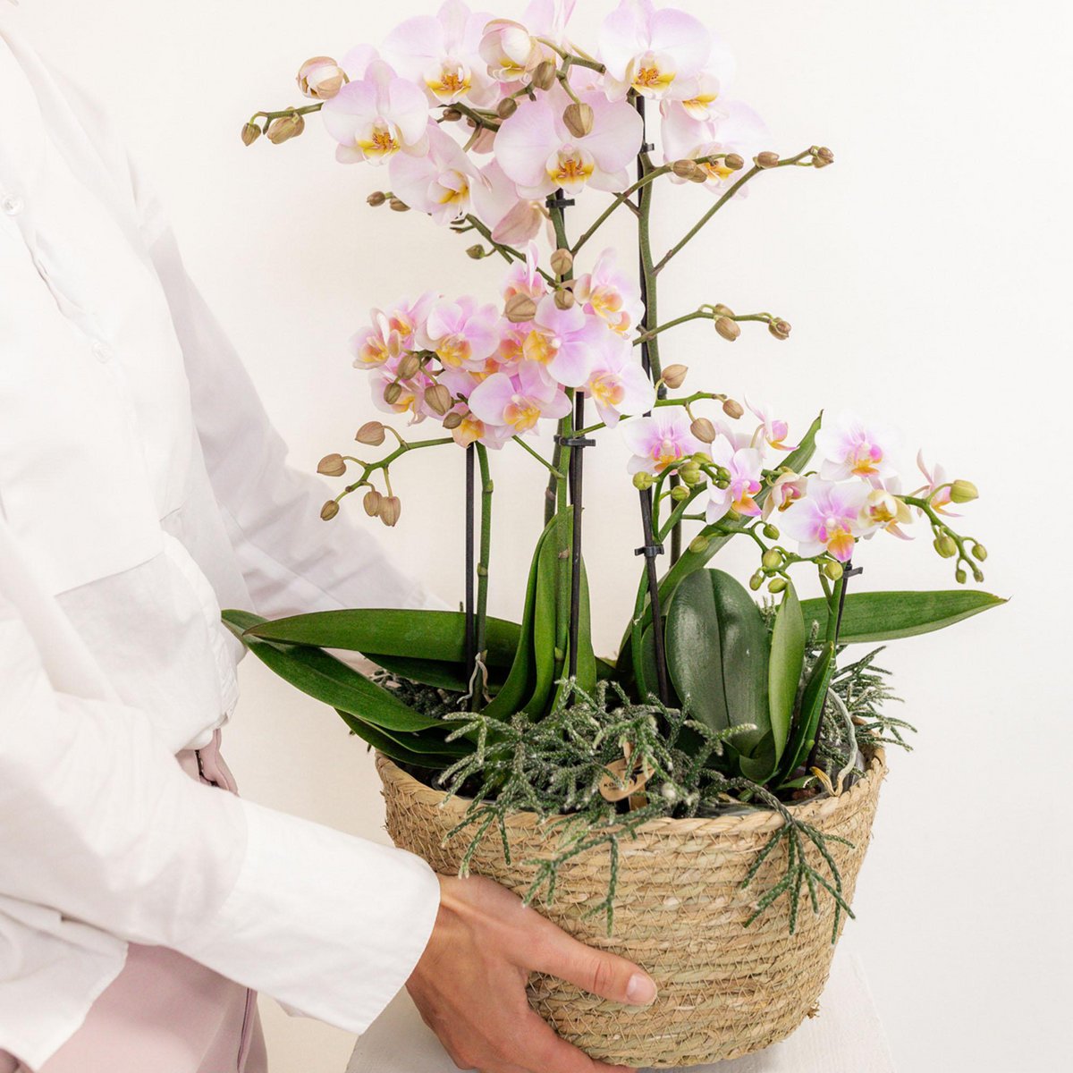 Inlay met waterreservoir voor orchideeënschaal Ø 25 cm, Field Bouquet